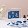 Cyanotype Kit, Diy Sun Printing, Botanical Solar Printing, thumbnail 4 of 6