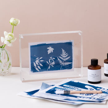 Cyanotype Kit, Diy Sun Printing, Botanical Solar Printing, 4 of 6