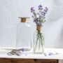 Large Clear Floor Glass Vase With Brass Ring 'Drisana', thumbnail 4 of 4