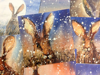 Hare Greeting Cards, 2 of 2