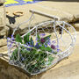 Personalised Wire Garden Flower Basket, thumbnail 7 of 11