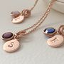 Personalised Rose Gold Plated Birthstone Necklace, thumbnail 1 of 5