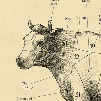 British Beef Cut Cow Print, Butcher Chart, 5 of 10