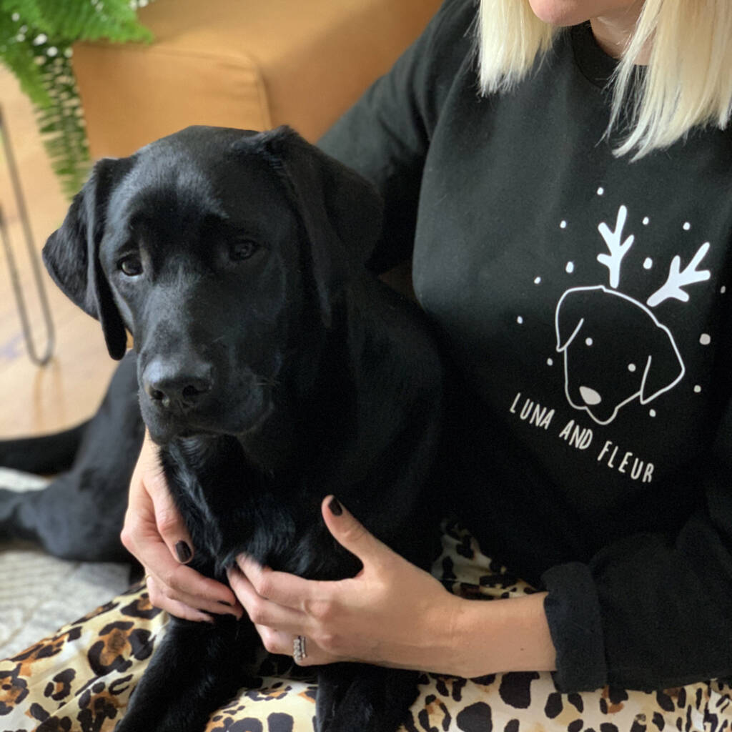 rottweiler xmas jumper