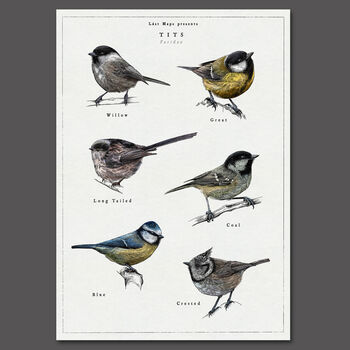 British Tits/Garden Birds Artwork Print, 5 of 9