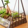 Large Recycled Glass Greenhouse Succulent Terrarium, thumbnail 3 of 6