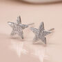 Sterling Silver Textured Star Stud Earrings, thumbnail 1 of 10