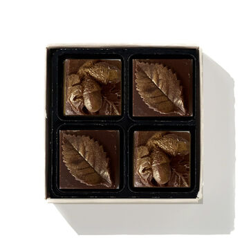 Autumnal Chocolate Box, 2 of 2