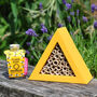 Triangle Bee House Gift Set, thumbnail 1 of 4
