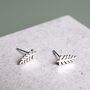 Sterling Silver Wiggly Tropical Leaf Stud Earrings, thumbnail 3 of 7