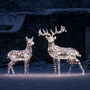 Large Harlow Rattan Reindeer Duo, thumbnail 5 of 9