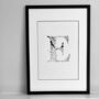 'Letter E' Linear Illustration Print, thumbnail 1 of 6