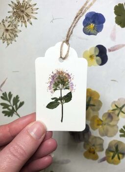 10 Pressed Flower And Leaves Gift Tags Assorted, 3 of 4