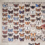 Butterflies Of The British Isles Wooden Jigsaw Puzzle, thumbnail 7 of 7