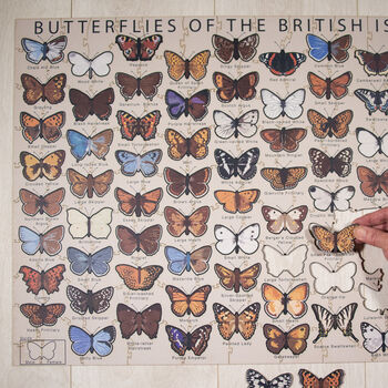 Butterflies Of The British Isles Wooden Jigsaw Puzzle, 7 of 7