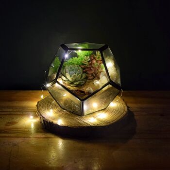 Black Geometric Terrarium Kit With Succulent, 9 of 11