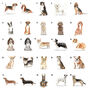 'Pawprints On Your Heart' Dog Tin 80 Breeds Available, thumbnail 4 of 10