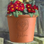Personalised Small Round Birth Flower Pot, thumbnail 2 of 7