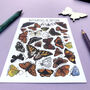 Butterflies Of Britain Illustrated Postcard, thumbnail 10 of 10