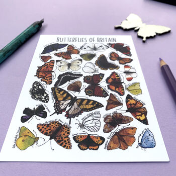 Butterflies Of Britain Illustrated Postcard, 10 of 10