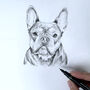 Personalised Pet Portrait Drawing, thumbnail 7 of 11