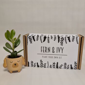 Plant Your Own Succulent Kit, 12 of 12