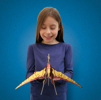 Build Your Own Personalised Pteranodon, 7 of 8