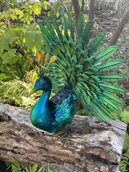 Light Up Metal Garden Peacock, 3 of 9