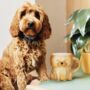 Cockapoo Shaped Ceramic Mug, thumbnail 3 of 3
