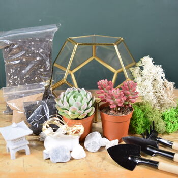 Gold Geometric Terrarium Kit With Succulent Christmas Plant Lover Gift, 5 of 7