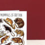 Small Mammals Of Britain Greeting Card, thumbnail 3 of 7