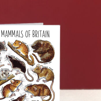 Small Mammals Of Britain Greeting Card, 3 of 7