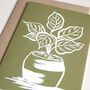 Olive Green Calathea Plant Card, thumbnail 3 of 4