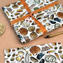 Seashells Of Britain Wrapping Paper Set, thumbnail 1 of 7