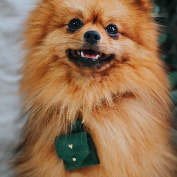 Suede Dog Wedding Ring Bearer Box Or Pouch, 4 of 10