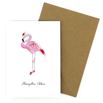 Flamboyance Christmas Chilean Flamingo Greetings Card, 4 of 6