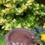 Freestanding Cast Iron Bird Bath – Metal Garden Feature, thumbnail 4 of 10