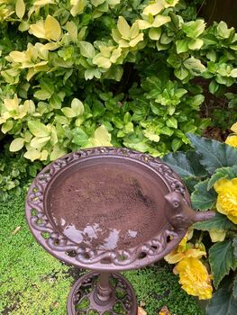 Freestanding Cast Iron Bird Bath – Metal Garden Feature, 4 of 10