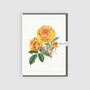 Art Greeting Card Rose Capucini, thumbnail 1 of 3