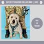 Camouflage Dog Collar And Lead, thumbnail 5 of 5