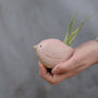 Bird Air Plant Holder In Pale Pink, thumbnail 2 of 12