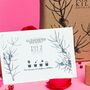 Gin Tasting Box And Wild Flower Seeded Gift Tag, thumbnail 4 of 5