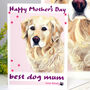 Golden Retriever Mother's Day Card, thumbnail 3 of 7