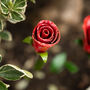 Red Rose Recycled Metal Garden Sculpture, thumbnail 1 of 2