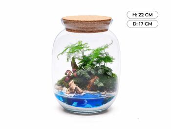 Beach Themed Terrarium Kit | 'Dominica', 2 of 12