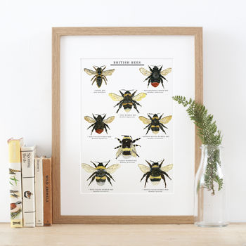 British Bees Illustrated Giclée Print, 4 of 6
