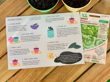 Grow Your Own Spinach Kit For Children, 3 of 4