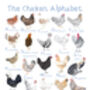 The Chicken Alphabet Art Print, Hen A Z Art Print, thumbnail 3 of 3