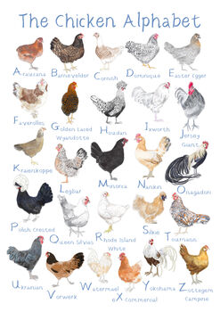 The Chicken Alphabet Art Print, Hen A Z Art Print, 3 of 3