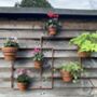 Copper Plant Pot Wall Frame, thumbnail 5 of 7
